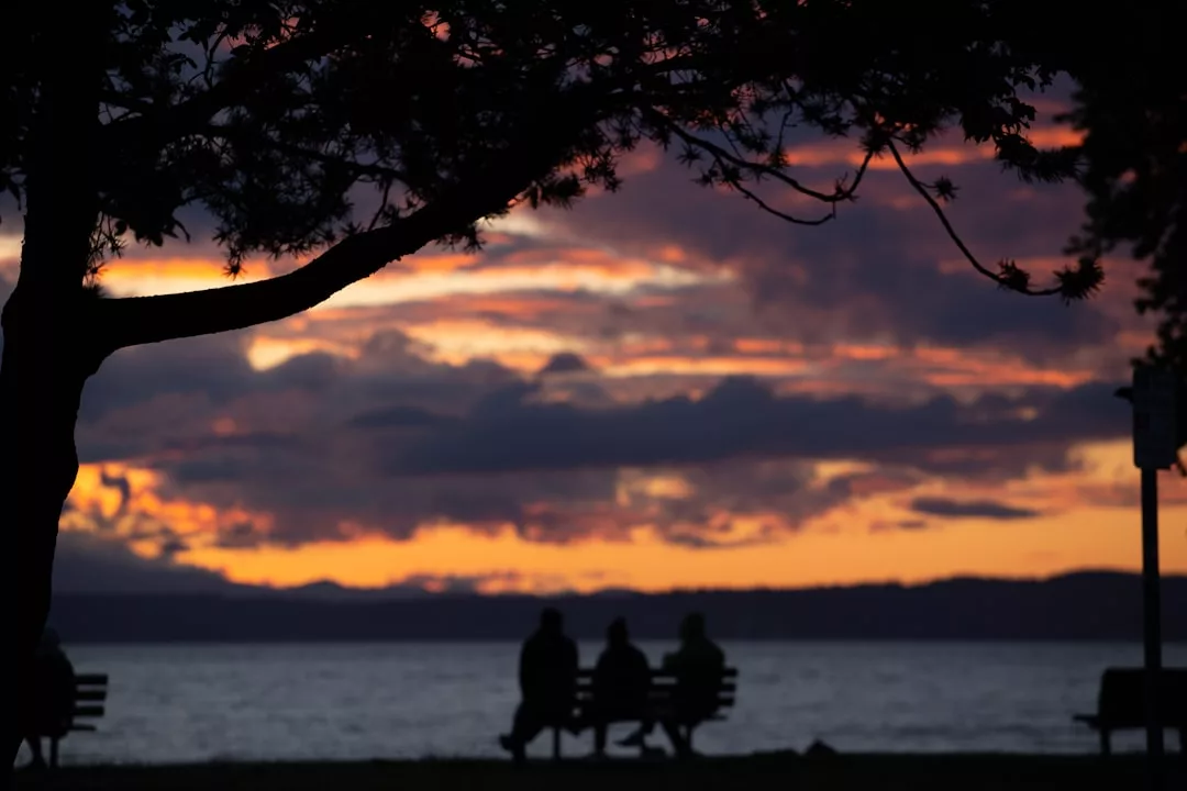 Tres personas sentadas en un banco junto al agua bajo un árbol, observando una colorida puesta de sol con nubes en el cielo, disfrutando del tranquilo lujo de Mallorca.