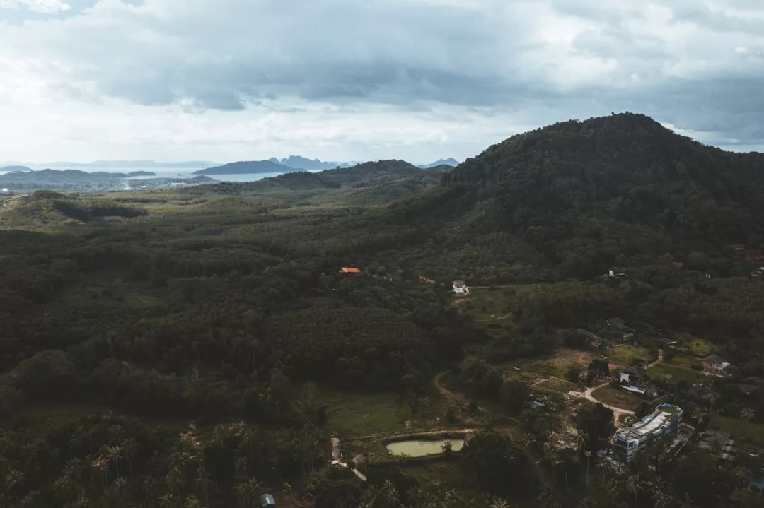 Una montaña de Mallorca cubierta de un denso bosque verde bajo un cielo nublado, con casas de lujo dispersas, un estanque y colinas lejanas visibles al fondo.