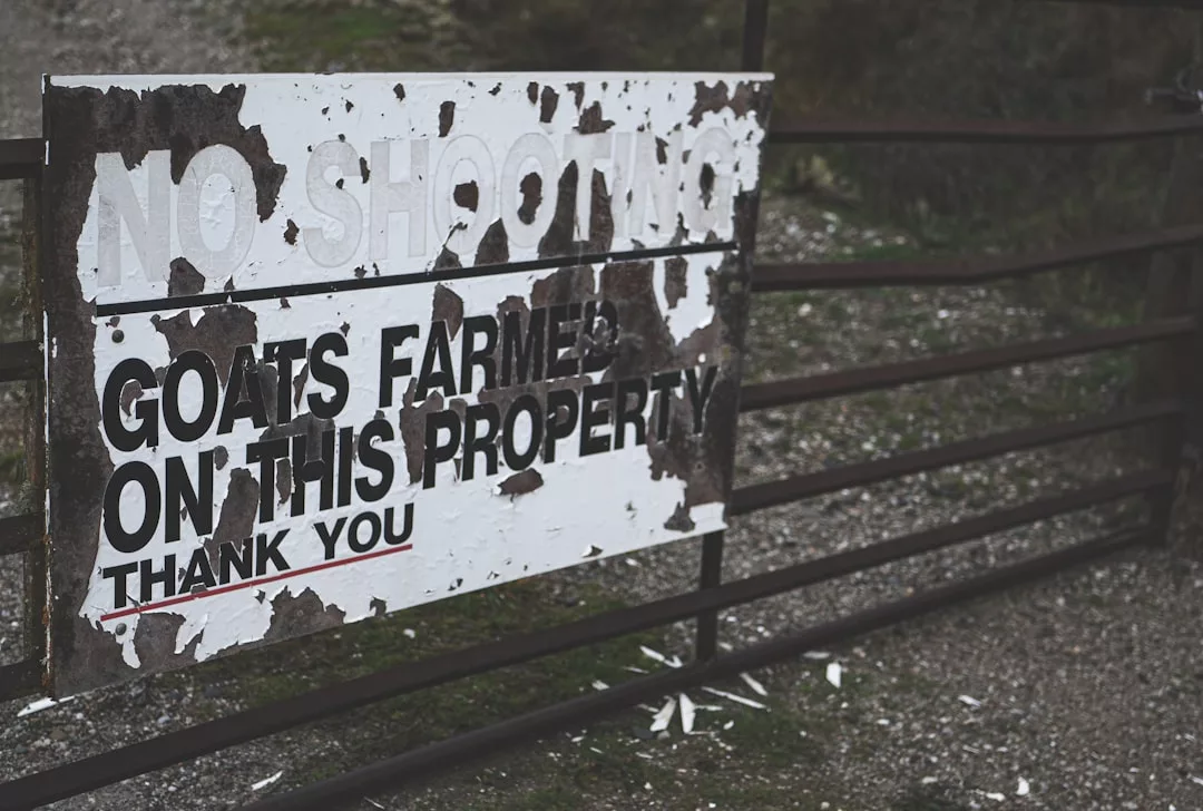 Una puerta metálica desgastada en Mallorca sostiene un cartel desgastado en el que se lee "Prohibido disparar, en esta propiedad se crían cabras, gracias" en negrita y letras negras.
