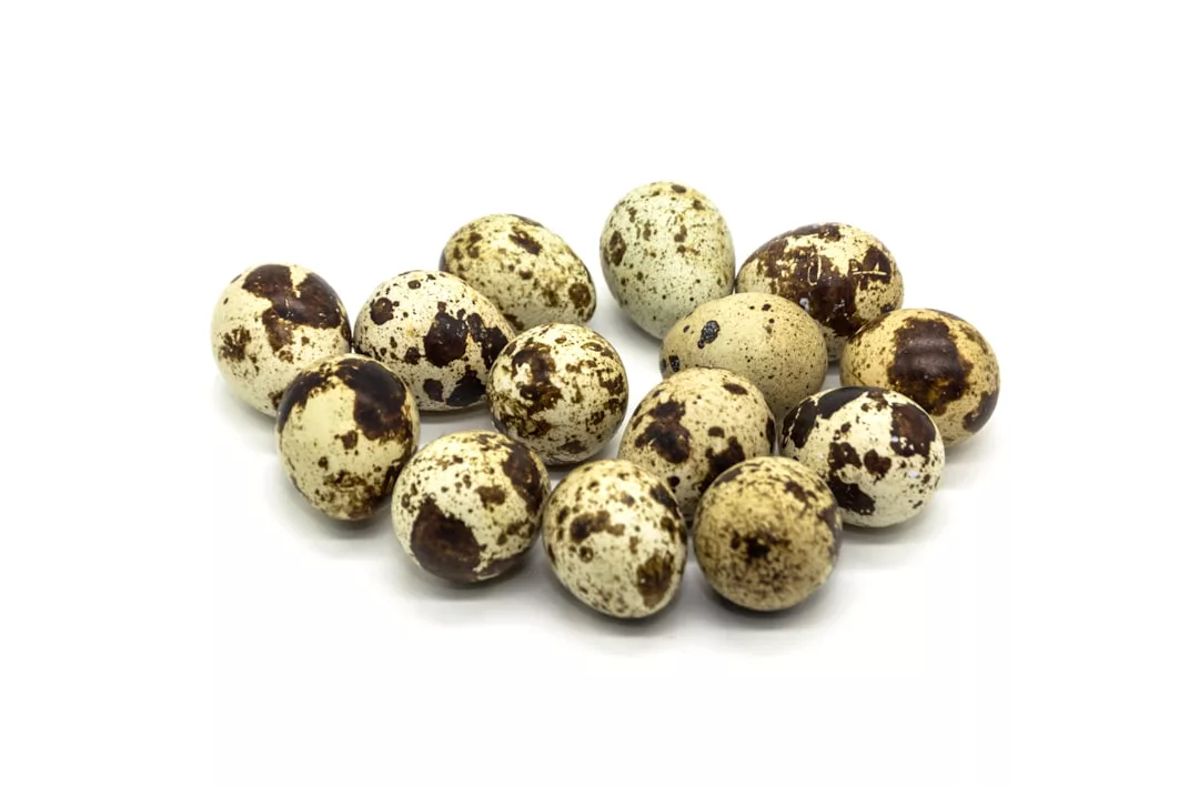 Un grupo de catorce huevos de codorniz moteados, dispuestos muy juntos sobre un fondo blanco, evoca el sencillo lujo del encanto rural de Mallorca.
