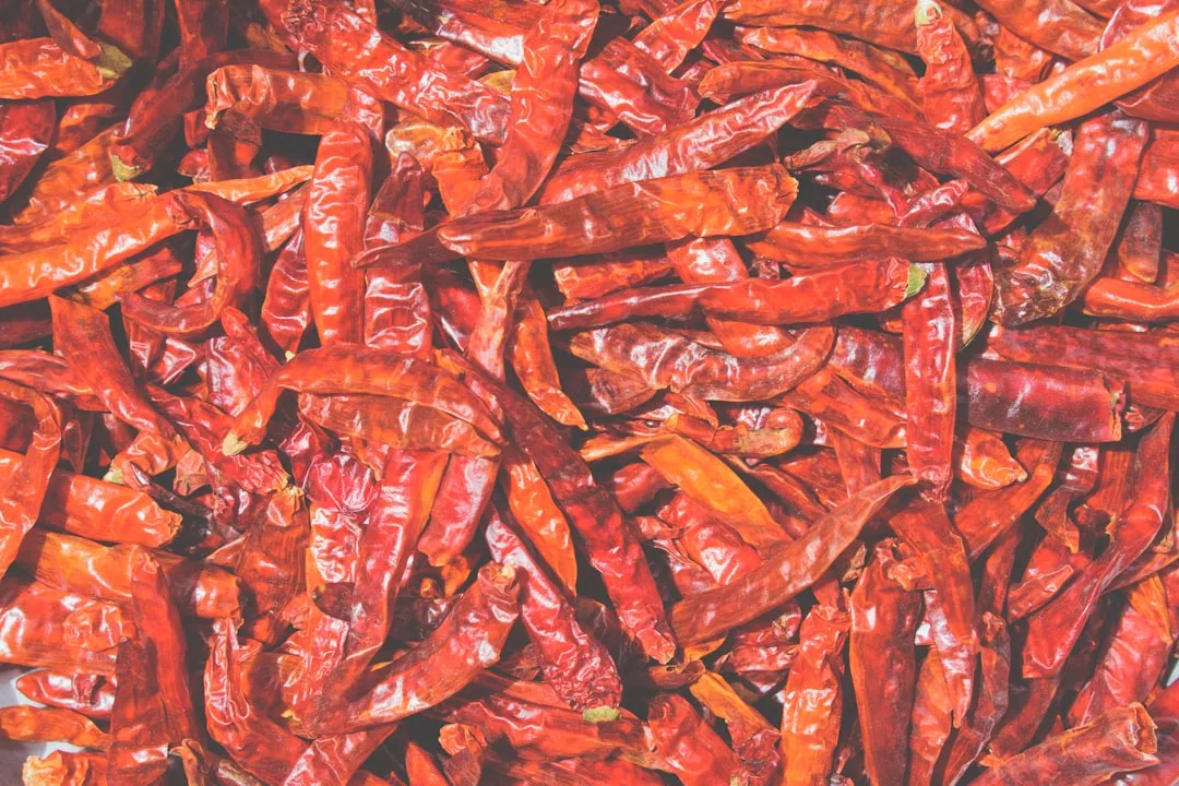 Una pila de guindillas rojas secas llena el encuadre, con sus pieles arrugadas y sus vibrantes tonos rojo-naranja que capturan los atrevidos sabores de Mallorca.
