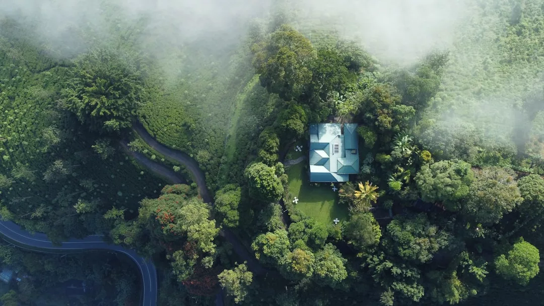 Vista aérea de una casa de lujo con tejado azul rodeada de densos árboles verdes y niebla, situada cerca de una carretera sinuosa en una ladera de Mallorca.