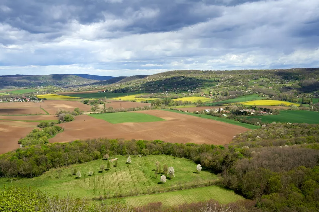 Una vista panorámica del paisaje rural de Mallorca con campos verdes, tierras de labranza marrones, casas dispersas y colinas boscosas bajo un cielo nublado, una escena que insinúa el tranquilo lujo de vivir en el campo.