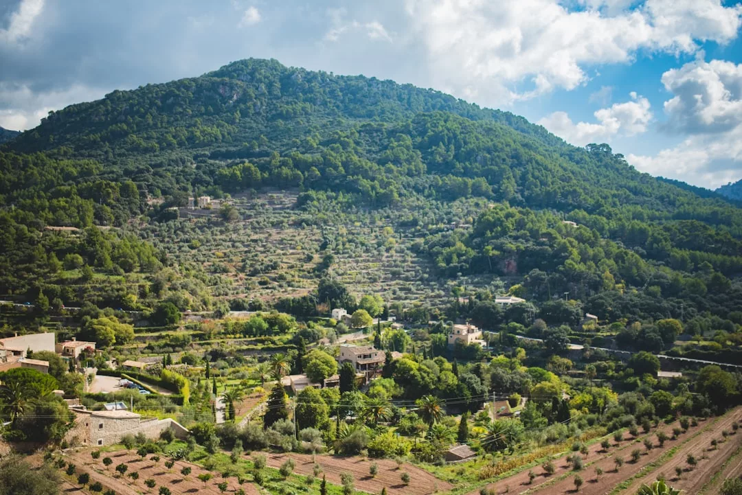 Una ladera de Mallorca cubierta de densos árboles verdes y vegetación, pequeñas casas de lujo esparcidas por todas partes, bajo un cielo parcialmente nublado.