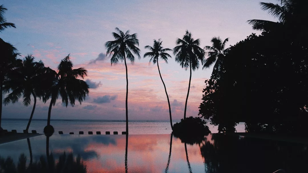 Las palmeras silueteadas contra un cielo al atardecer se reflejan en una tranquila masa de agua, con el lujo de las vistas oceánicas de Mallorca visibles al fondo.