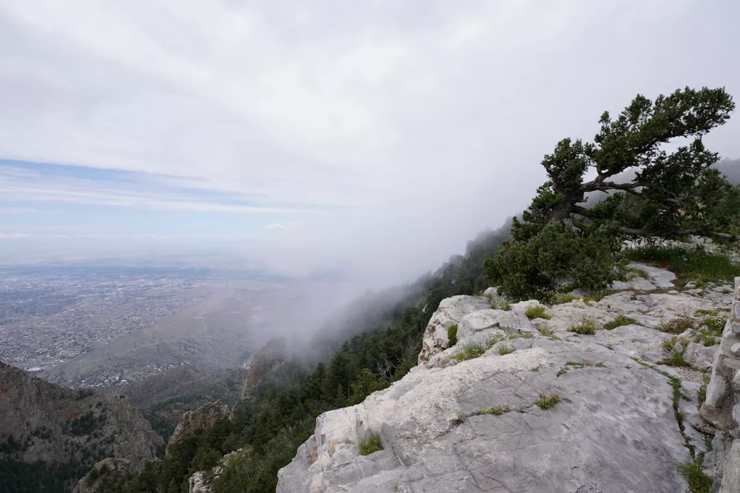 Un cielo nublado cubre los acantilados rocosos de Mallorca con árboles dispersos; la niebla oculta parcialmente una ciudad y un paisaje de lujo en la distancia.
