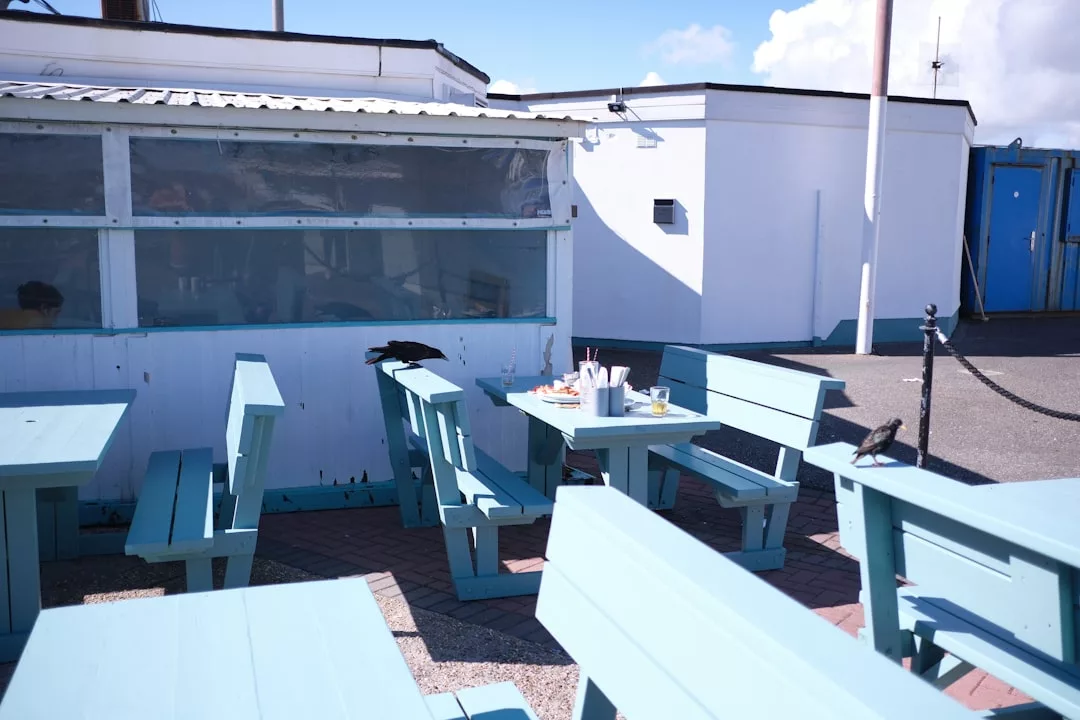 Mesas de picnic al aire libre de color azul claro con restos de comida y bebida; unos cuantos pájaros se posan sobre y cerca de los bancos fuera de un edificio blanco, evocando el ambiente relajado de Mallorca y un toque de lujo informal.