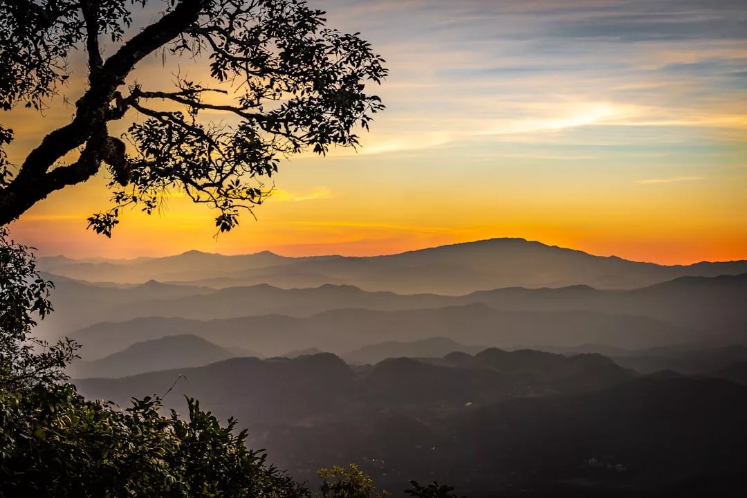 Paisaje montañoso en capas al amanecer en Mallorca, con un árbol en silueta en primer plano y un cielo colorido de tonos naranjas, amarillos y azules, capturando el lujo natural de la serena belleza de la isla.