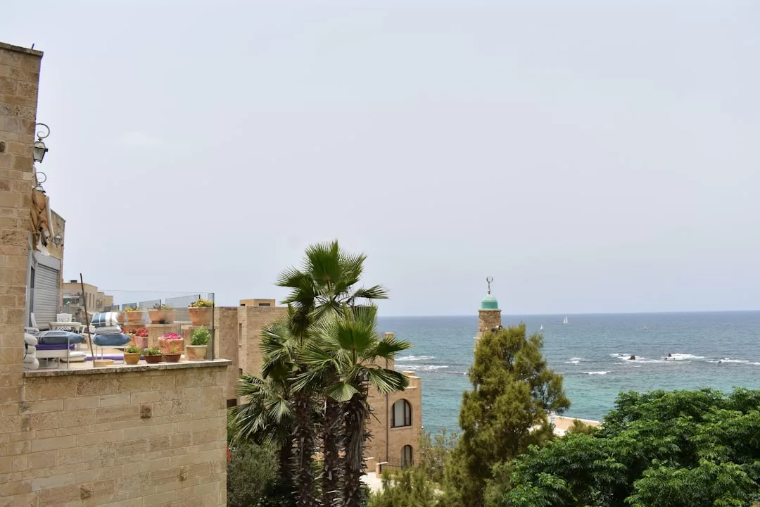 Disfrute de una impresionante vista del mar Mediterráneo en Mallorca, con palmeras, edificios de piedra y una torre bajo un cielo despejado, un verdadero toque de lujo.