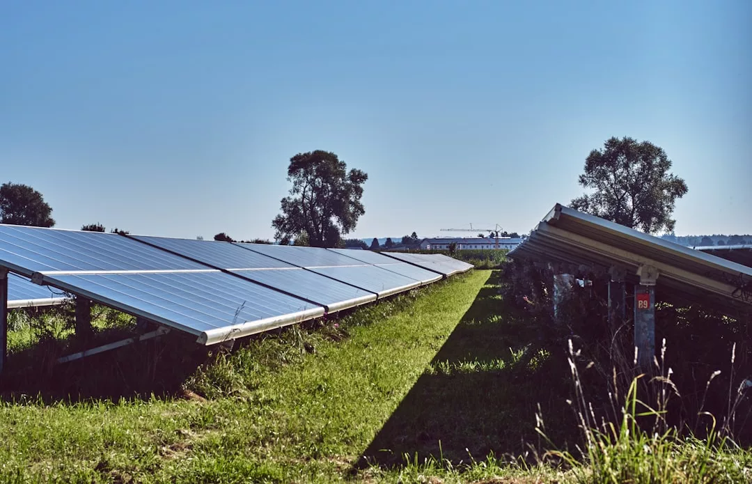 Hileras de paneles solares instalados sobre hierba bajo un cielo azul despejado en Mallorca, con árboles y edificios lejanos que contribuyen a la sensación de lujo natural de fondo.